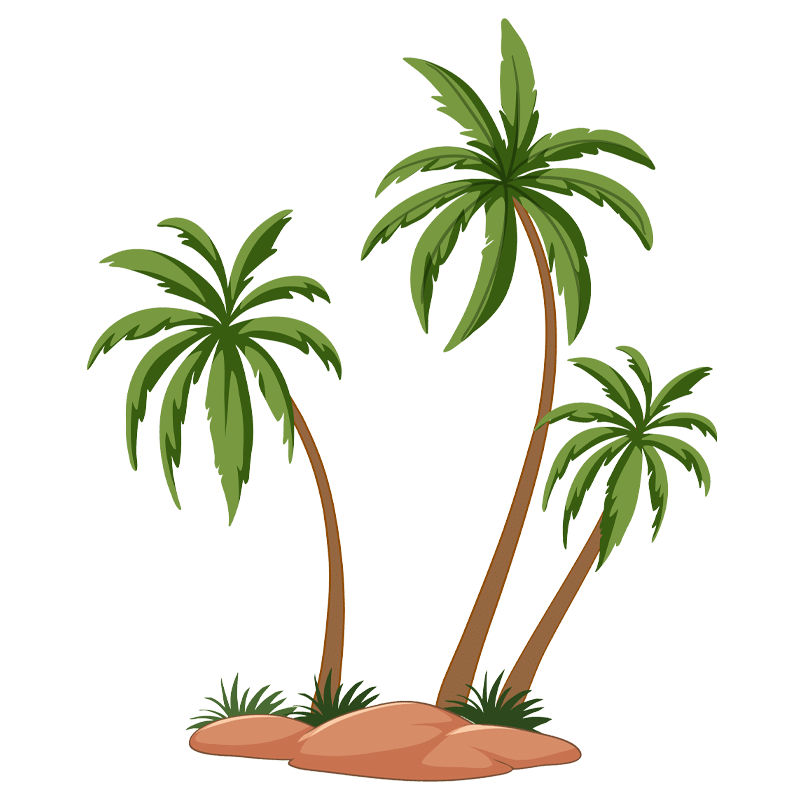 Palm trees